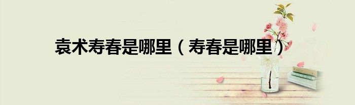 袁术寿春是哪里(寿春是哪里)