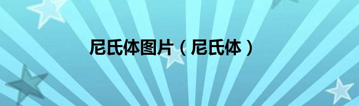 尼氏体图片(尼氏体)