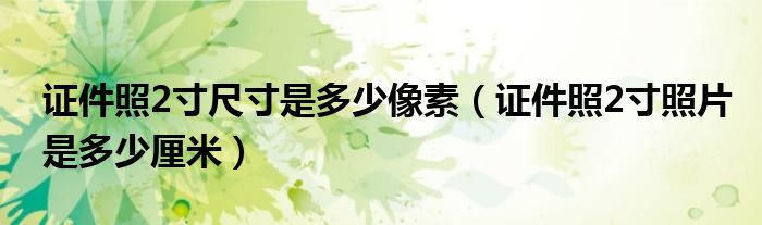 证件照2寸尺寸是多少像素(证件照2寸照片是多少厘米)
