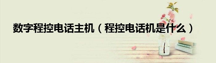 数字程控电话主机(程控电话机是什么)