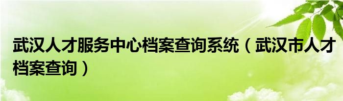 武汉人才服务中心档案查询系统(武汉市人才档案查询)