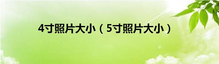 4寸照片大小(5寸照片大小)