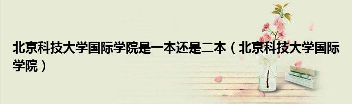 北京科技大学国际学院是一本还是二本(北京科技大学国际学院)