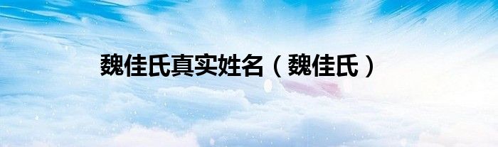 魏佳氏真实姓名(魏佳氏)