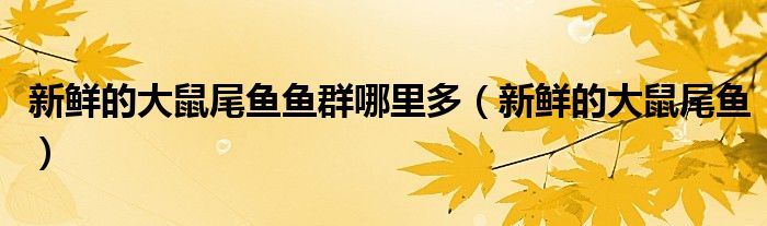 新鲜的大鼠尾鱼鱼群哪里多(新鲜的大鼠尾鱼)