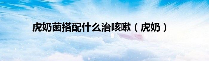 虎奶菌搭配什么治咳嗽(虎奶)
