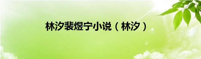 林汐裴煜宁小说（林汐）