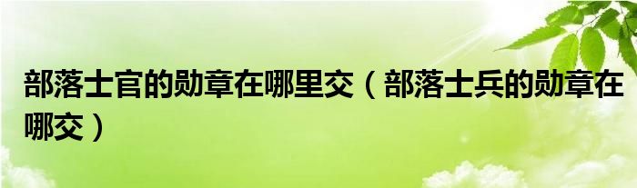部落士官的勋章在哪里交(部落士兵的勋章在哪交)