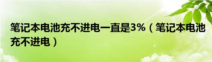 笔记本电池充不进电一直是3%(笔记本电池充不进电)