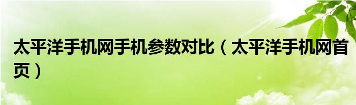 太平洋手机网手机参数对比(太平洋手机网首页)