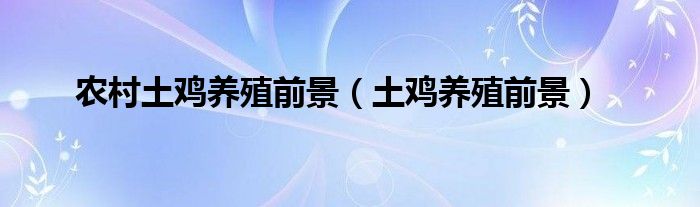 农村土鸡养殖前景(土鸡养殖前景)
