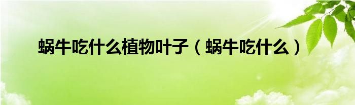 蜗牛吃什么植物叶子(蜗牛吃什么)