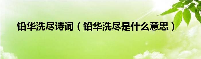 铅华洗尽诗词(铅华洗尽是什么意思)