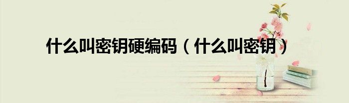 什么叫密钥硬编码(什么叫密钥)