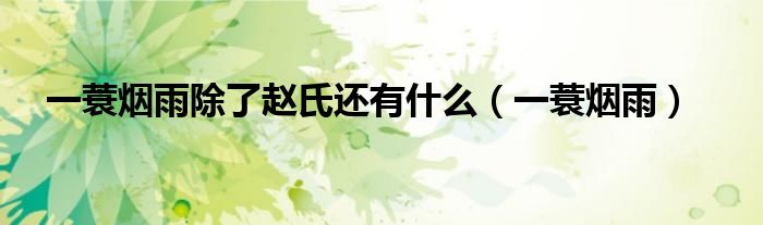 一蓑烟雨除了赵氏还有什么(一蓑烟雨)