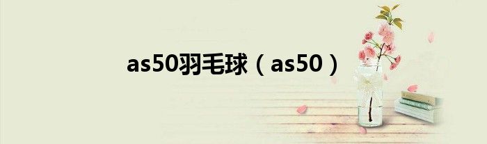 as50羽毛球(as50)