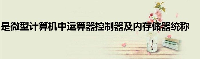 是微型计算机中运算器控制器及内存储器统称