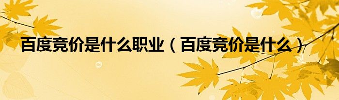 百度竞价是什么职业(百度竞价是什么)