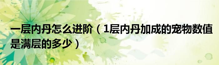 一层内丹怎么进阶(1层内丹加成的宠物数值是满层的多少)