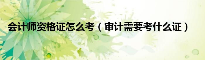 会计师资格证怎么考(审计需要考什么证)
