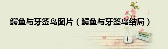鳄鱼与牙签鸟图片(鳄鱼与牙签鸟结局)