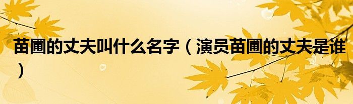 苗圃的丈夫叫什么名字(演员苗圃的丈夫是谁)
