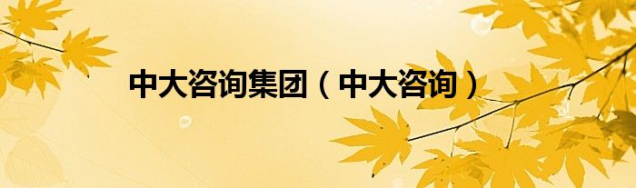 中大咨询集团（中大咨询）