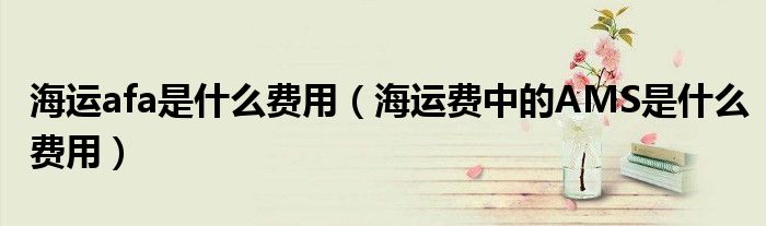 海运afa是什么费用(海运费中的AMS是什么费用)