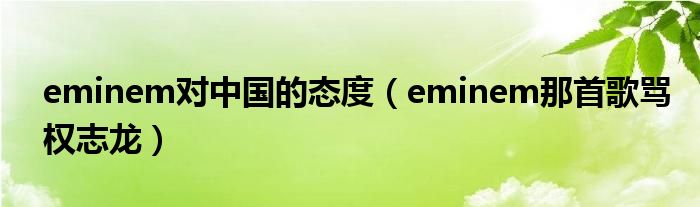 eminem对中国的态度(eminem那首歌骂权志龙)