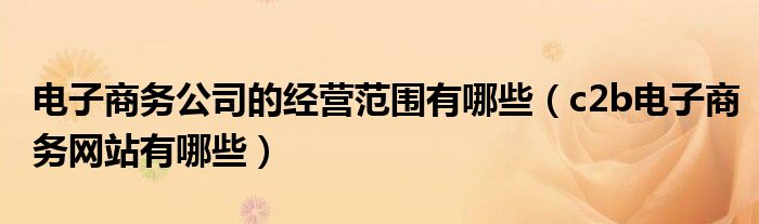 电子商务公司的经营范围有哪些(c2b电子商务网站有哪些)