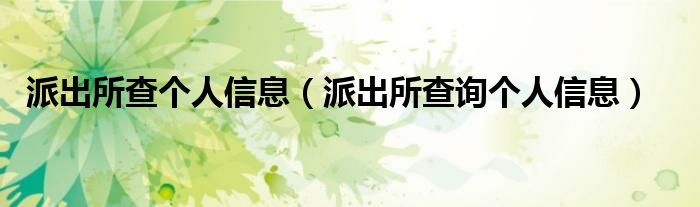 派出所查个人信息(派出所查询个人信息)