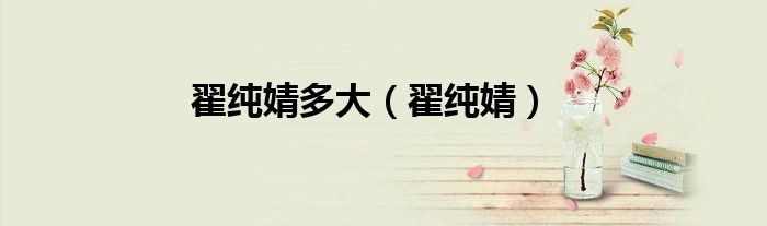 翟纯婧多大（翟纯婧）