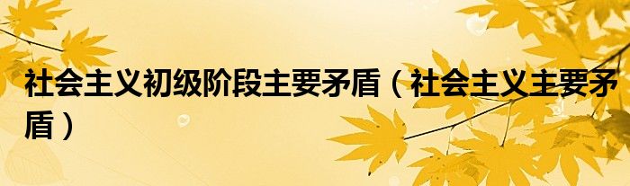 社会主义初级阶段主要矛盾(社会主义主要矛盾)