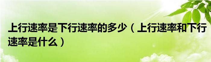 上行速率是下行速率的多少(上行速率和下行速率是什么)