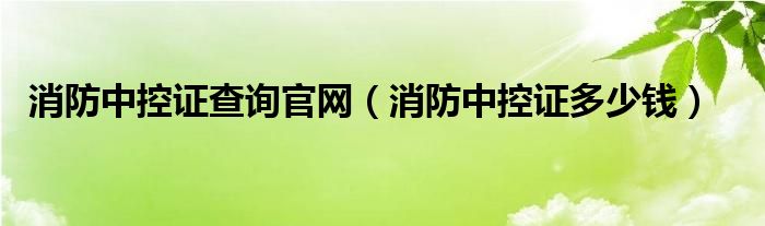 消防中控证查询官网(消防中控证多少钱)