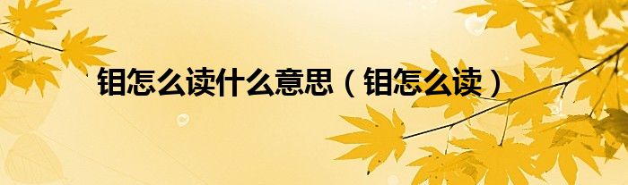 钼怎么读什么意思(钼怎么读)