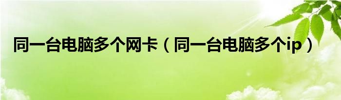 同一台电脑多个网卡(同一台电脑多个ip)