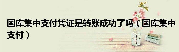 国库集中支付凭证是转账成功了吗(国库集中支付)