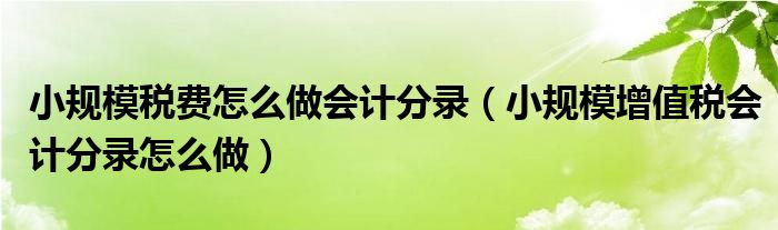 小规模税费怎么做会计分录(小规模增值税会计分录怎么做)
