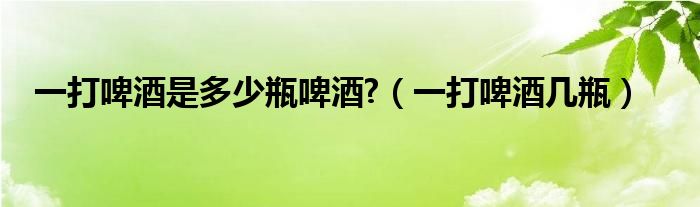 一打啤酒是多少瓶啤酒?(一打啤酒几瓶)