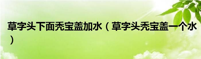 草字头下面秃宝盖加水(草字头秃宝盖一个水)