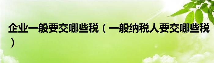 企业一般要交哪些税(一般纳税人要交哪些税)