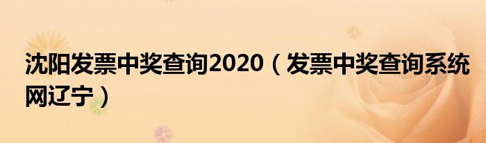 沈阳发票中奖查询2020(发票中奖查询系统网辽宁)