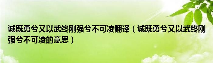 诚既勇兮又以武终刚强兮不可凌翻译(诚既勇兮又以武终刚强兮不可凌的意思)