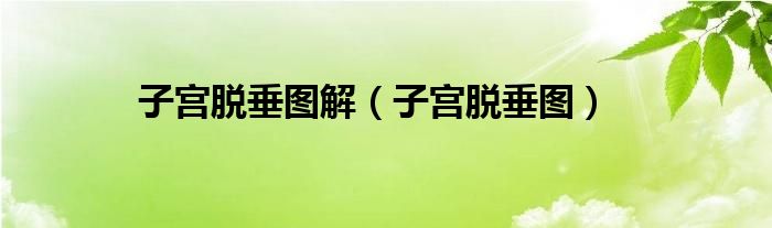 子宫脱垂图解(子宫脱垂图)