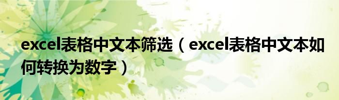excel表格中文本筛选(excel表格中文本如何转换为数字)