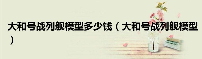 大和号战列舰模型多少钱(大和号战列舰模型)