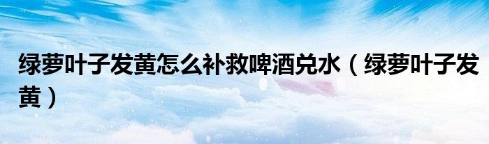 绿萝叶子发黄怎么补救啤酒兑水(绿萝叶子发黄)