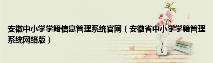 安徽中小学学籍信息管理系统官网(安徽省中小学学籍管理系统网络版)