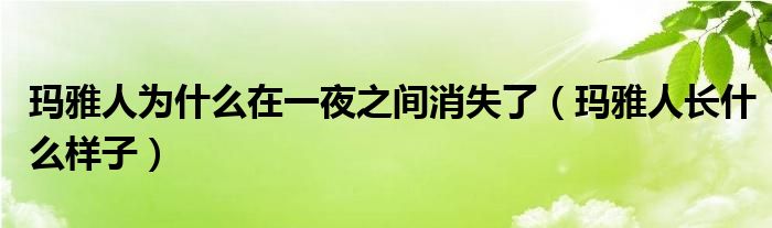 玛雅人为什么在一夜之间消失了(玛雅人长什么样子)